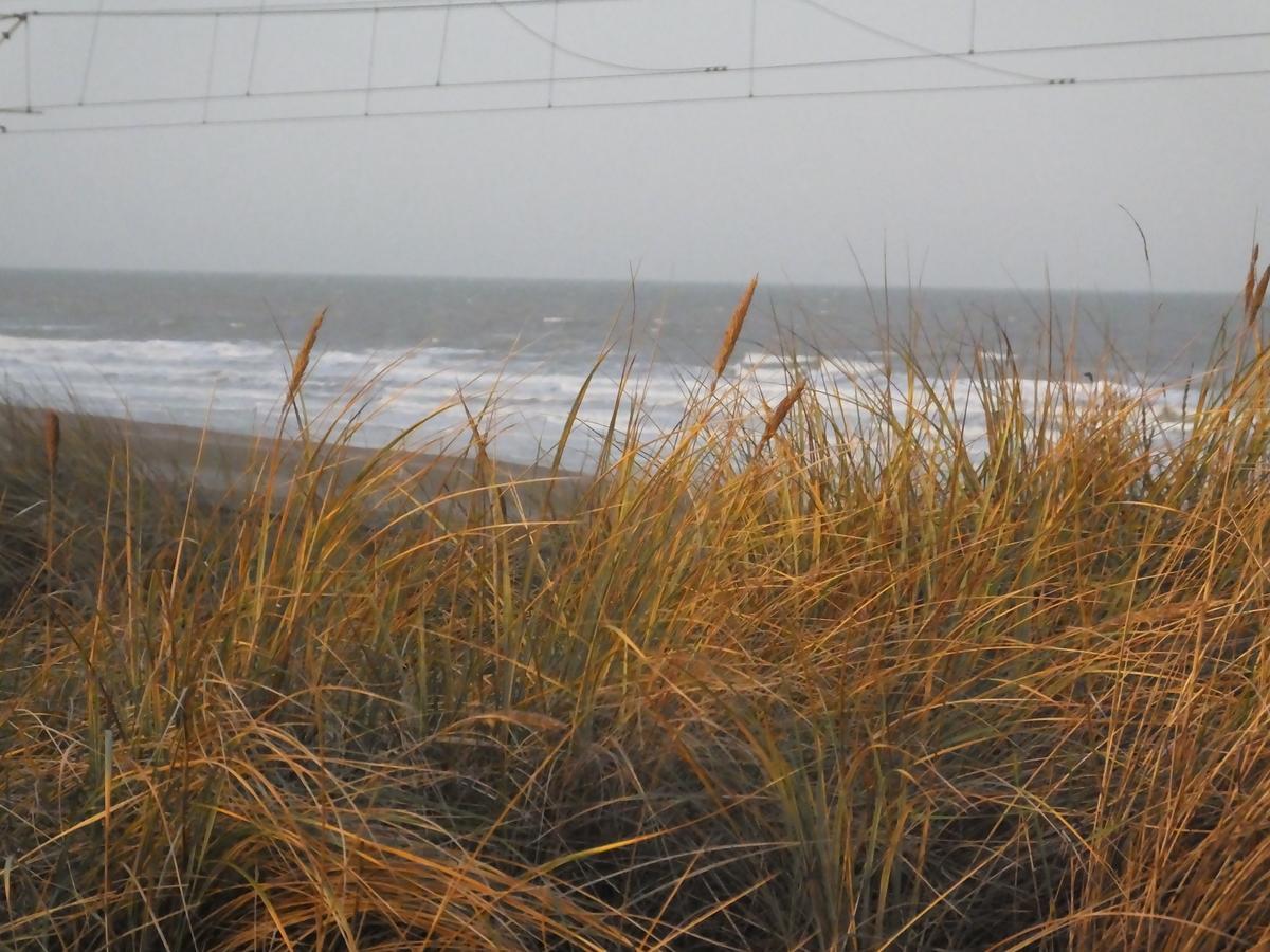 Mariakerke Sable D'O -Vlak Aan De Zee-住宿加早餐旅馆 外观 照片